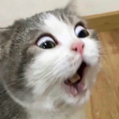 Макс Макс, 08.07, Бузулук