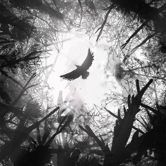 Алексей Храмцевич, 15.02, Санкт-Петербург