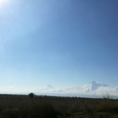 Рози Гаспарян, 26.11, Ереван