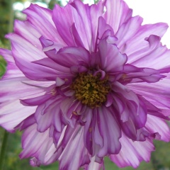 Надежда Бобрецова, 28.04