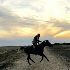 Артём Кушков