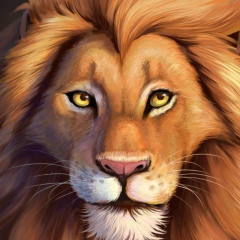 Роман Коржавчиков, 22.10.1982, Москва