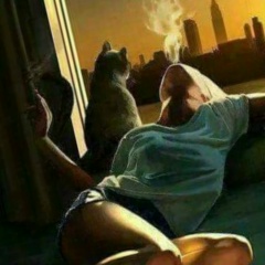 Мария Новикова, 23.11, Москва