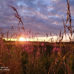 Петр Некрасов, 10.05.1990, Санкт-Петербург