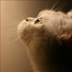 Павел Прилучный, 05.11.1987, Москва