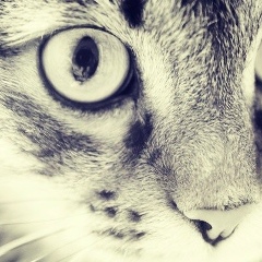 Кирилл Григорьев, 27.01