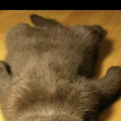 Алибек Каримов, 26.05.1987, Алматы