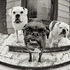 Павел Карцев, 21.02, Москва