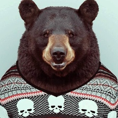 Василий Андреев, Ульяновск