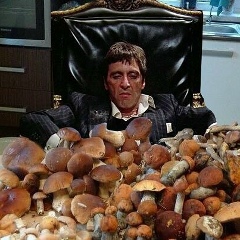 Константин Шланев, 27.10, Санкт-Петербург