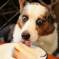 Денис Молотков, 09.11.1987, Москва