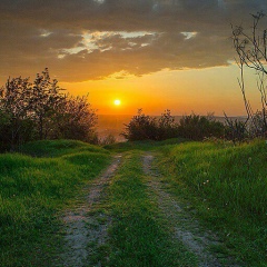 Хамзат Юнусов, 04.12.1992, Грозный