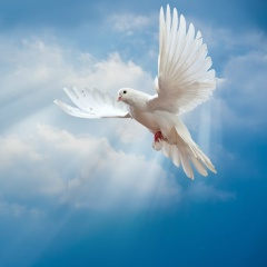 Наташа Мертес, 30.12, Hamburg