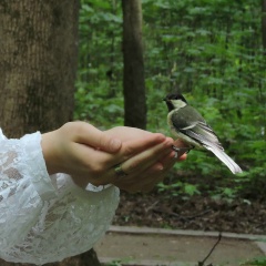 Оля Кирьянова, 18.08, Москва