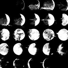 Пашка Кривоносов, 16.09.1987, Ростов-на-Дону