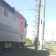 Илья Топотушкин