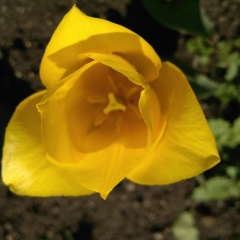 Анна Деркачева, 30.11.1984, Владивосток