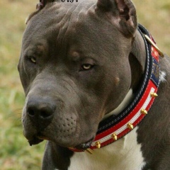 Кирилл Иевлев, 15.03.1984, Химки