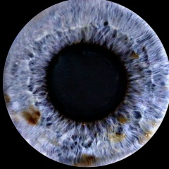 Kristina Bakaeva, 26.06.1996