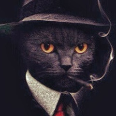 Дмитрий Синицин, 12.05, Санкт-Петербург