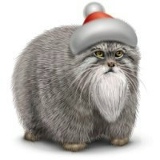 Владимир Музыка, 23.12.1984, Москва