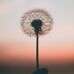 Асель Кужумбетова