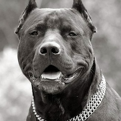 Егор Сергеев, 10.05, Сыктывкар