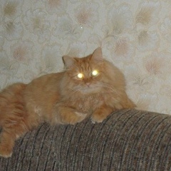 Иван Пугачев, Октябрьский