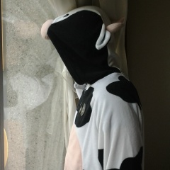 Андрей Беляев, 22.05.1981, Санкт-Петербург