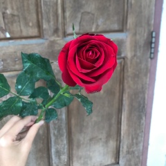 Yoon-Shwe-Yee Shein, 01.02.1995, Yangon