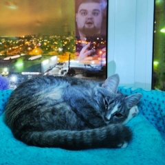 Артём Еловских, 06.08, Екатеринбург