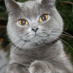 Max Reiter, 30.05.1987, Lauenburg/Elbe