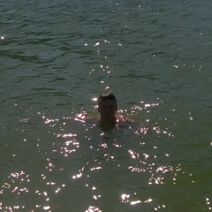 Михаил Серебряков, 01.04.1988, Ярославль