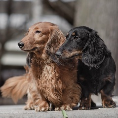 Катюшка Плетнева, 01.12.1987, Москва