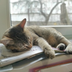 Natallia Voronetskaya, 21.03.1983