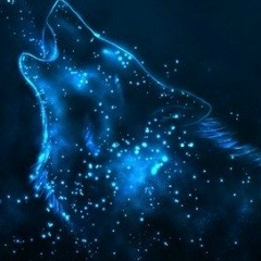 Денис Зарифуллин, 24.01