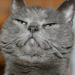 Антон Голдовский, 17.05, Киев