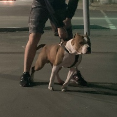 Серега Петров, 31.03, Москва