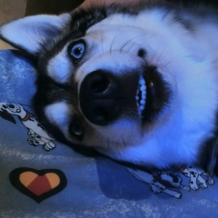 Сергей Макагонов, 01.12, Санкт-Петербург