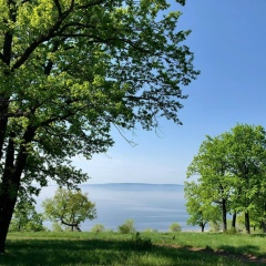 Елена Похвалий