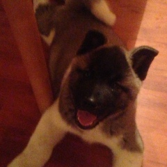 Лесбек Мусаев, 14.03.1989, Актобе