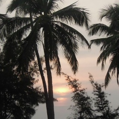 Анна Александровна, Москва