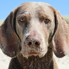 Александр Зверьков, 24.02, Санкт-Петербург