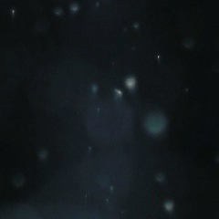 Арсений Соколов, 04.04.1993, Санкт-Петербург