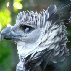 Александр Фунтусов, Южно-Сахалинск