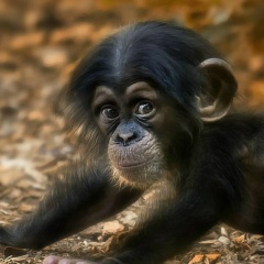 Валерия Корченко, 02.04.1983, Киев