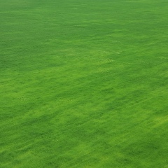 Артем Спорт, 10.01