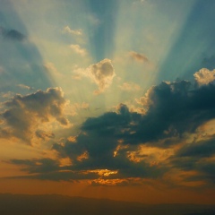 Ace Fromasia, 20.12, Алматы