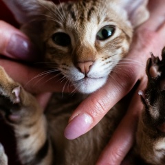 Алиса Мухаметзянова, 12.10.1979, Саранск