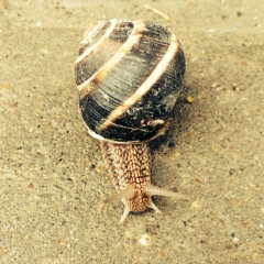 Ainura Karabaeva, 06.11, Шымкент